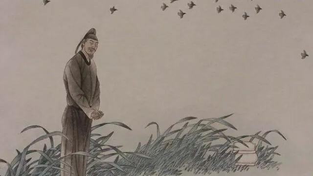 诗词鉴赏：《春望》唐——杜甫