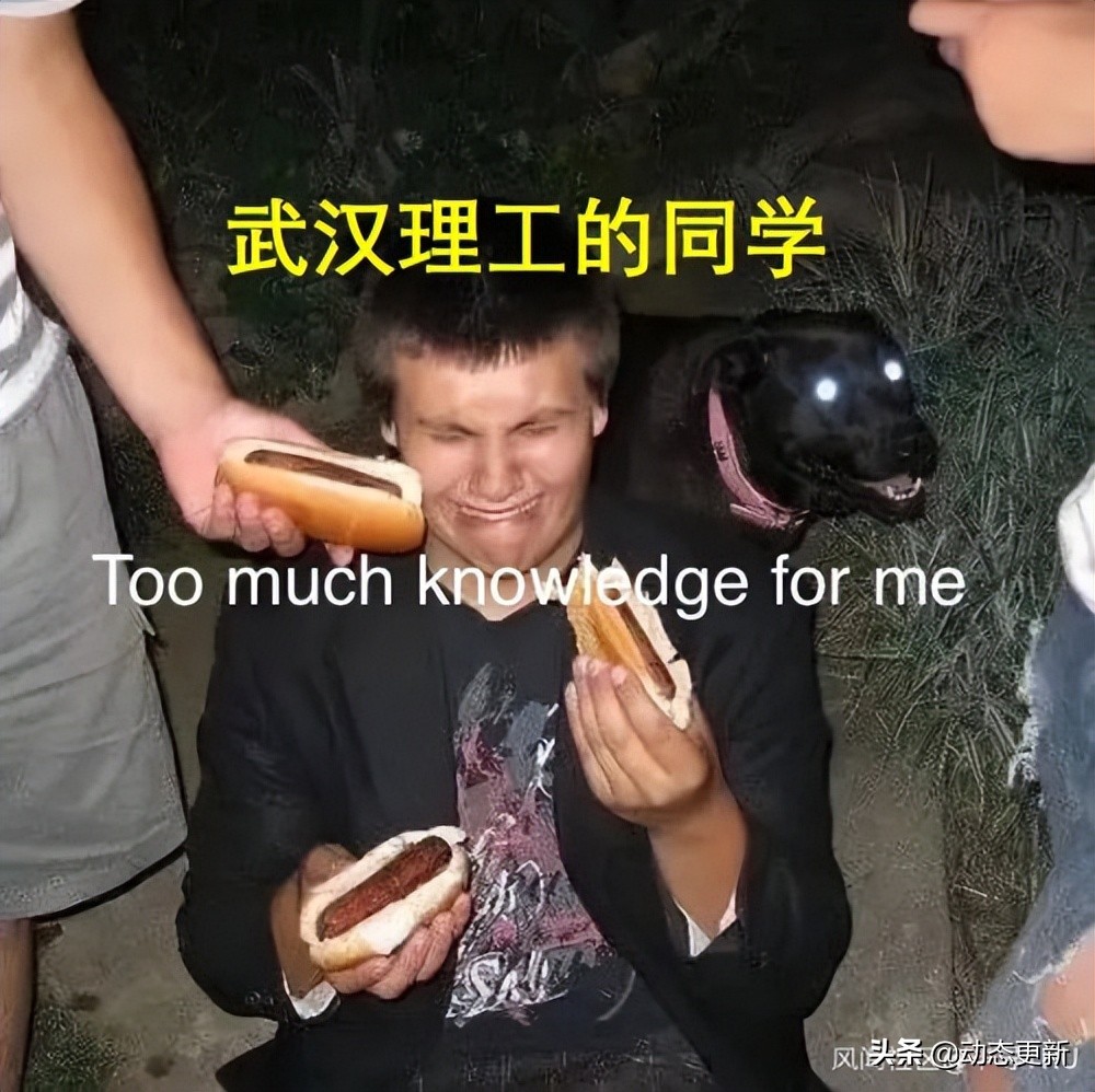 我扒了全国各大高校的知网采购费,被坑得最惨的学校竟然是它…