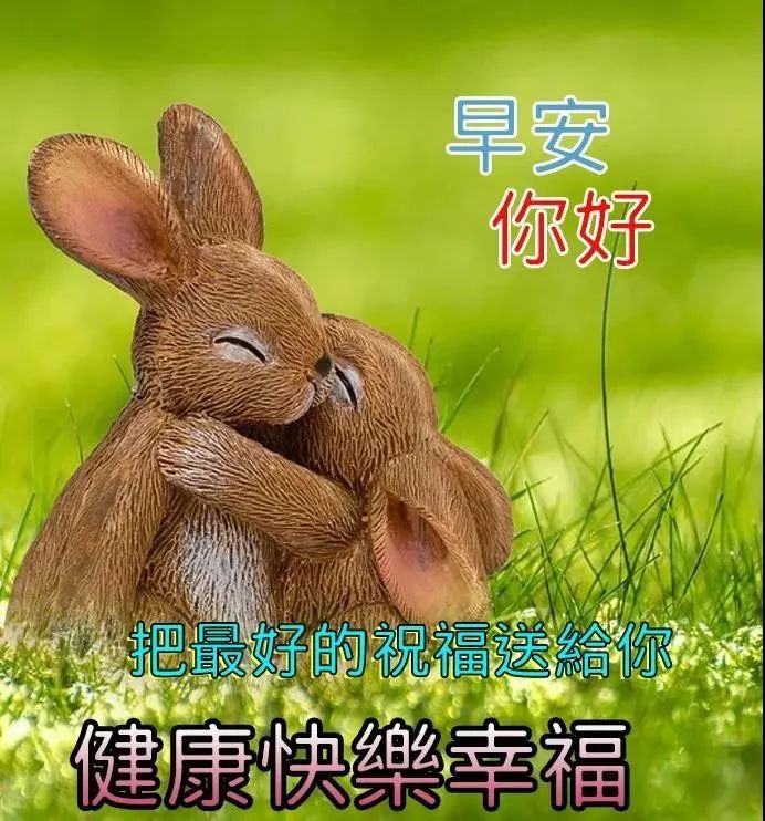 微信早上好图片大全 早上好鲜花图片 过好充实的今天就有美好的明天图片