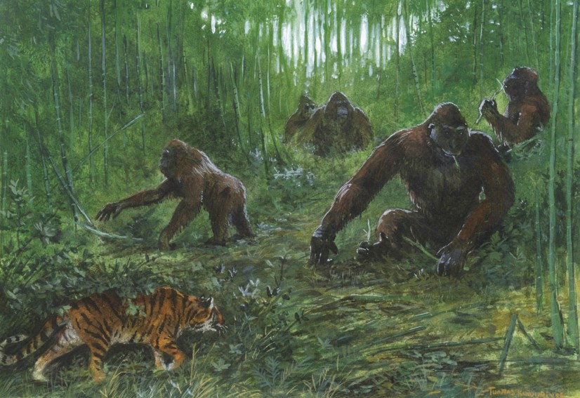 史前世界谁才是陆地霸主？公交车大的鳄鱼？吊打剑齿虎的走地鸡？