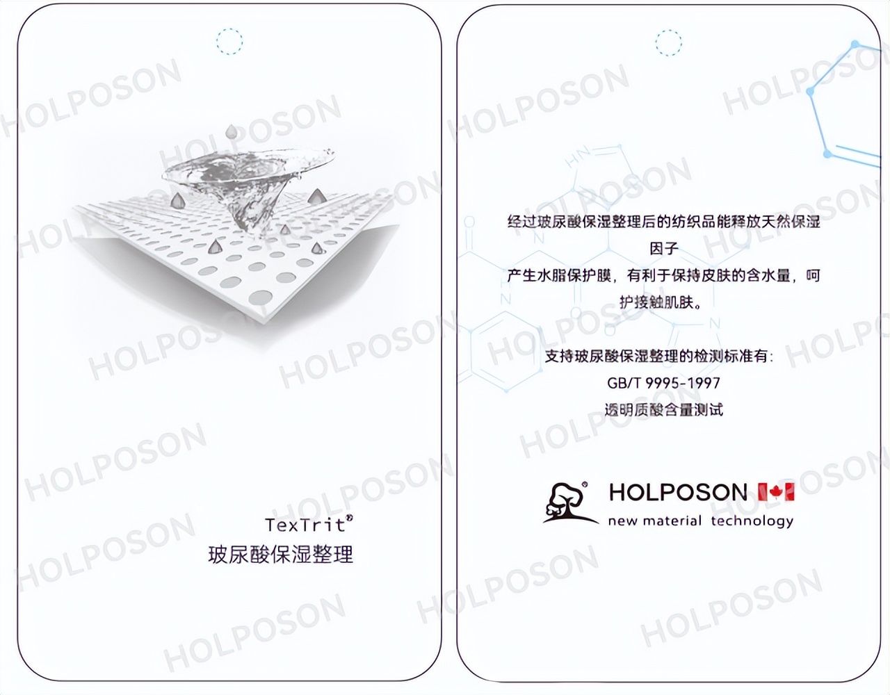 玻尿酸整理剂HOLPOSON® HYA-HYA