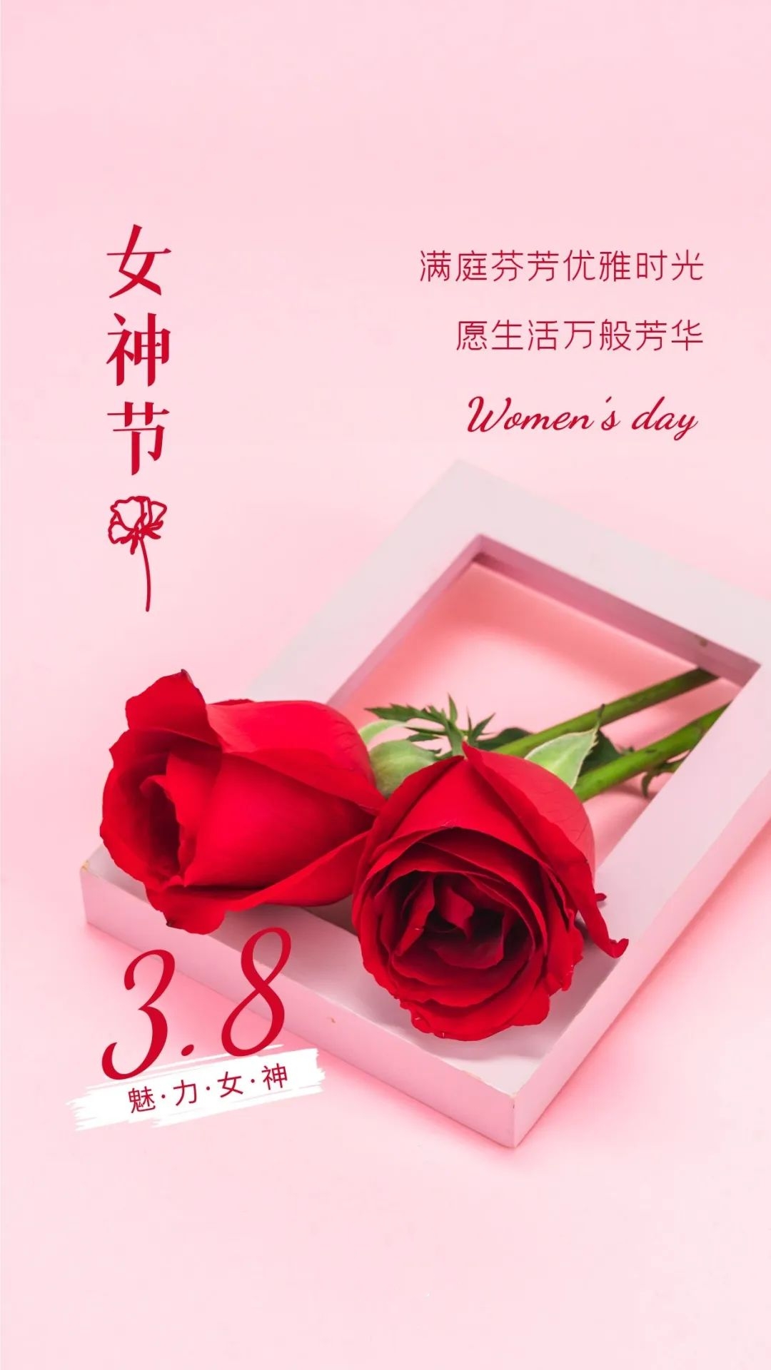 08」早安心语,3月8日妇女节最美语句,女神节漂亮图片
