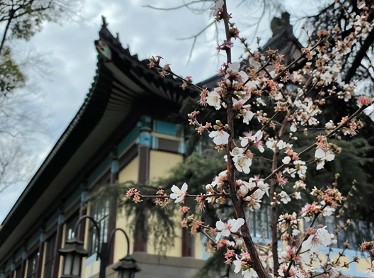 癌症化疗副作用大，与这类药物有关！南师大系列研究成果，可有效克服耐药性