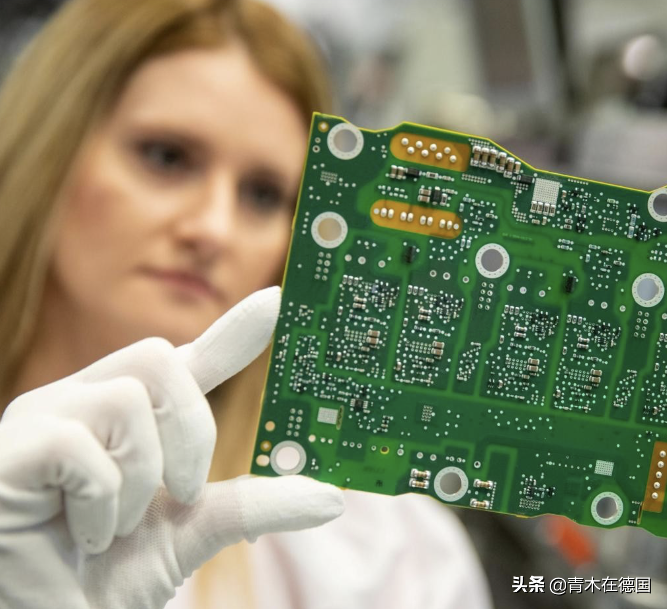 ��ý������Ͷ��ŷ��һ֦���㣬��������֮һ��ȫ��Ͷ��14�������