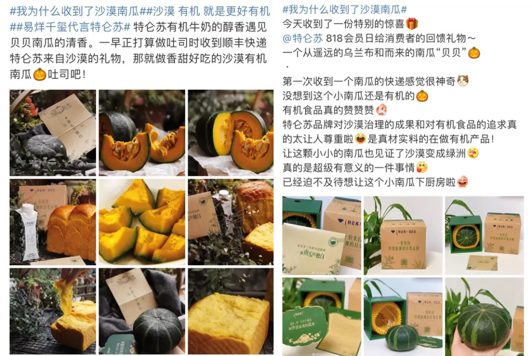 深链与精准，拆解传统品牌的新私域打法