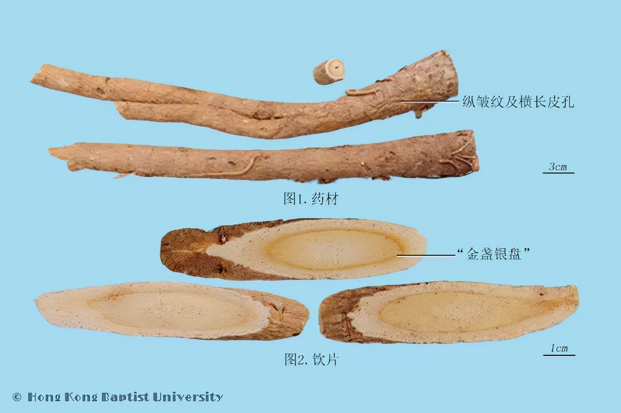 玉屏风颗粒——只含三味药，却有大作用