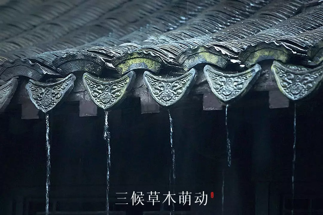 雨水：春雨至，万物生