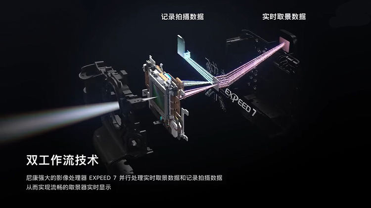 “单反终结者”—尼康Z9 非洲实战测评（二）划时代的对焦能力测评