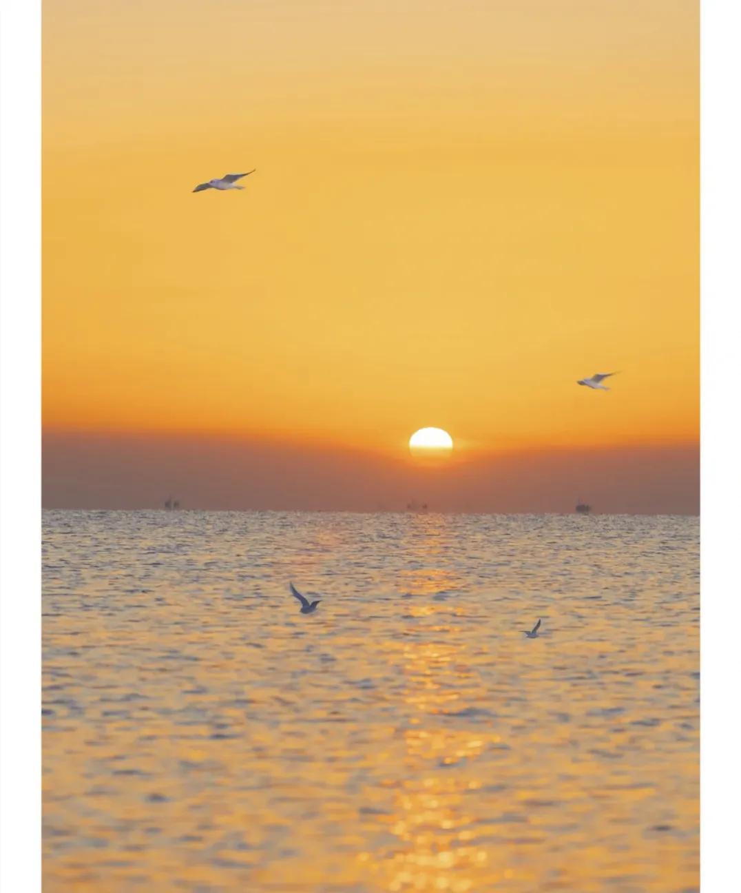 关于晴天的唯美句子100字_晶羽文学网