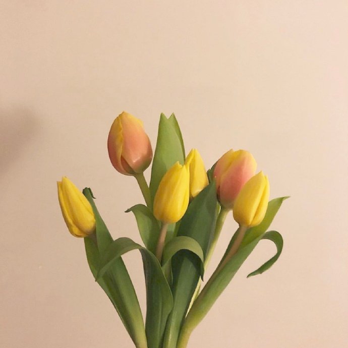 平安夜朋友圈的祝福语简短（平安夜祝福发朋友圈的句子）