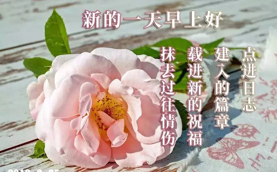 2022最新早上好表情包 清晨送上一份祝福 快乐无忧、幸福甜蜜图片