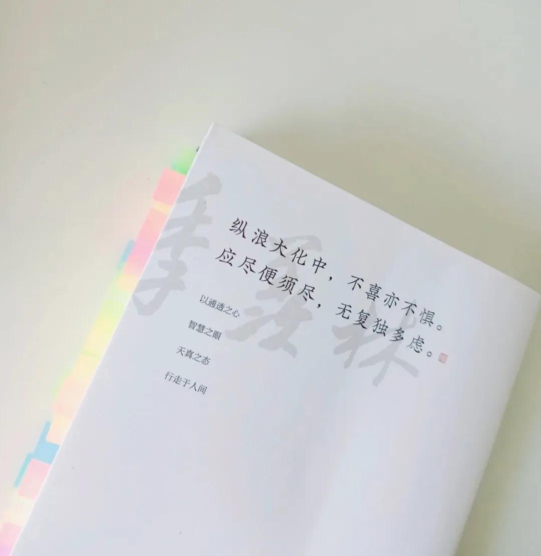 《心安即是归处》每一句都写进了心坎里