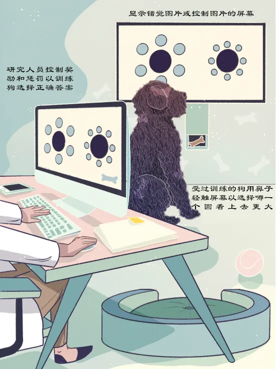 五花八门视错觉，研究它们有啥用？