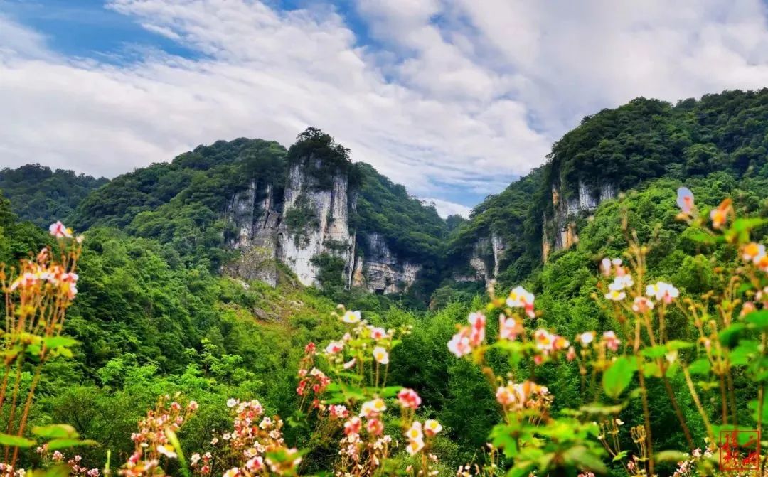 醉美拍点推荐 | 壮美！陕西南郑油菜花海登陆央视新闻“春天里的中国”