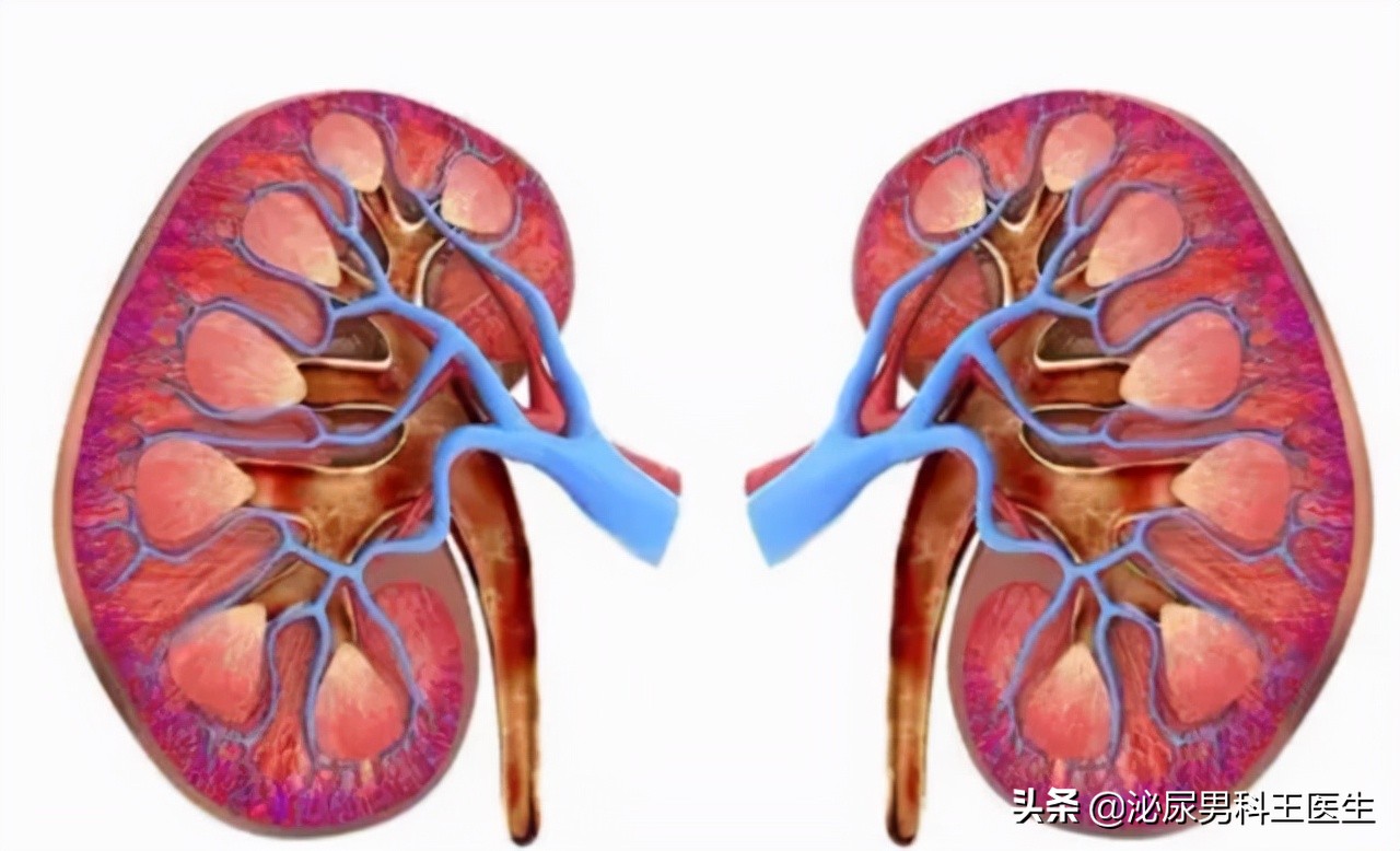 肾好不好，一泡尿就能知晓？若尿液有几种变化，需尽快给肾做检查