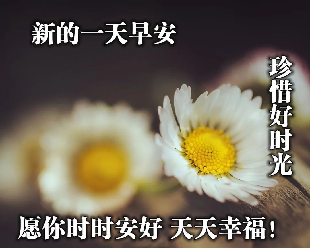 朋友圈新版早安祝福句子 笑一笑，人生不一样图片