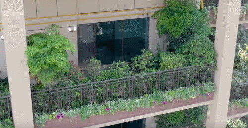 株洲第4代住宅绿化超过100%，50平米空中养花种菜，有啥独特之处