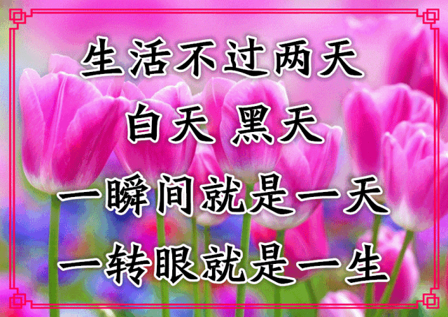 今日早上好表情包图片动态带鲜花 以积极的心态生活 发现美好的东西图片