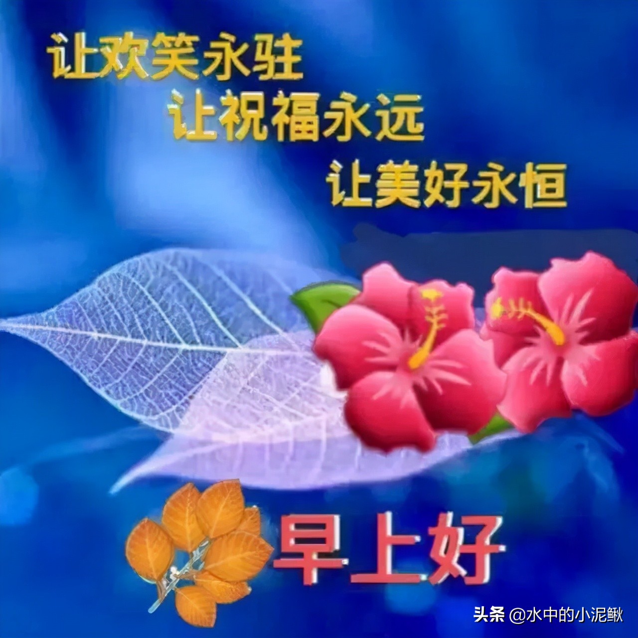 朋友圈励志早安心语句子，满满正能量的励志早安语录