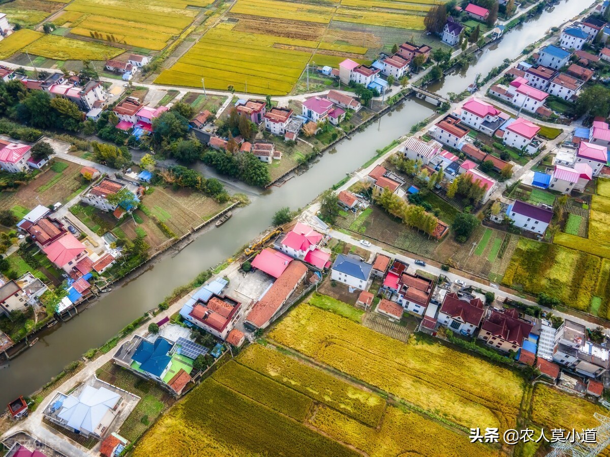 宅基地怎么申请（如何在农村里面盖房子）