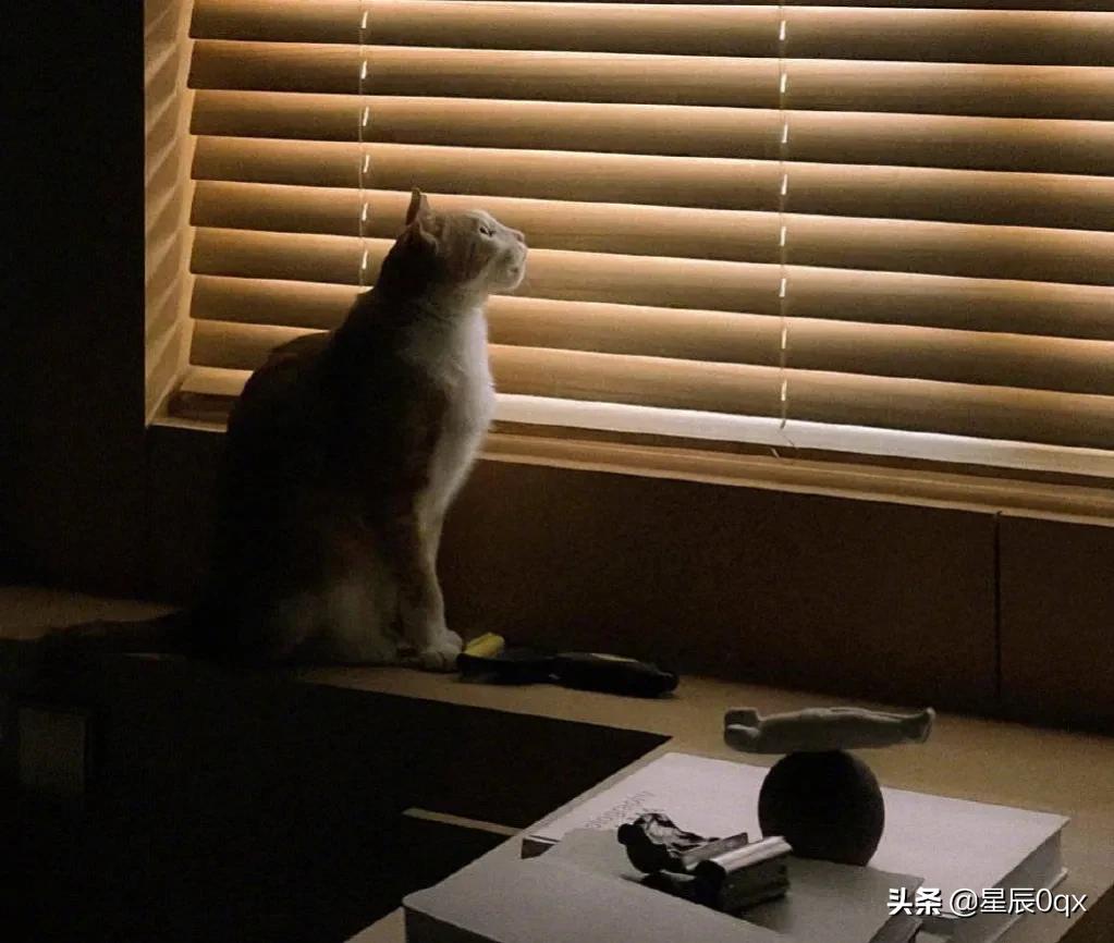 音乐生活的一些句子