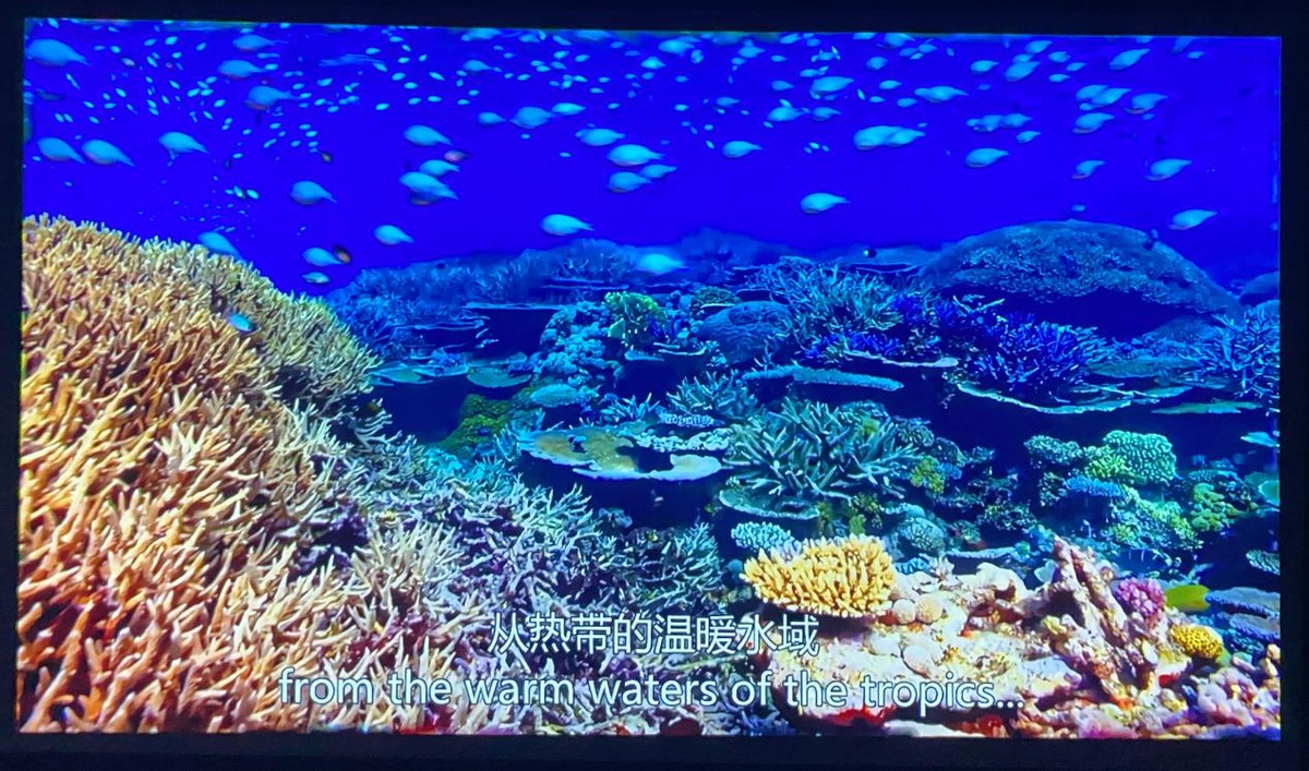 萌娃最爱，千元价格，真1080P泰捷WEBOX T1S投影仪体验