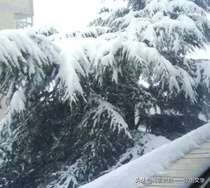 大学体育运动同志小说（（4）