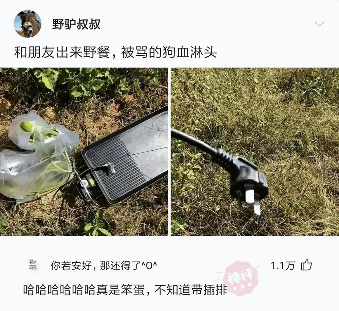 铲屎官今天又给我们做了什么好吃的呀