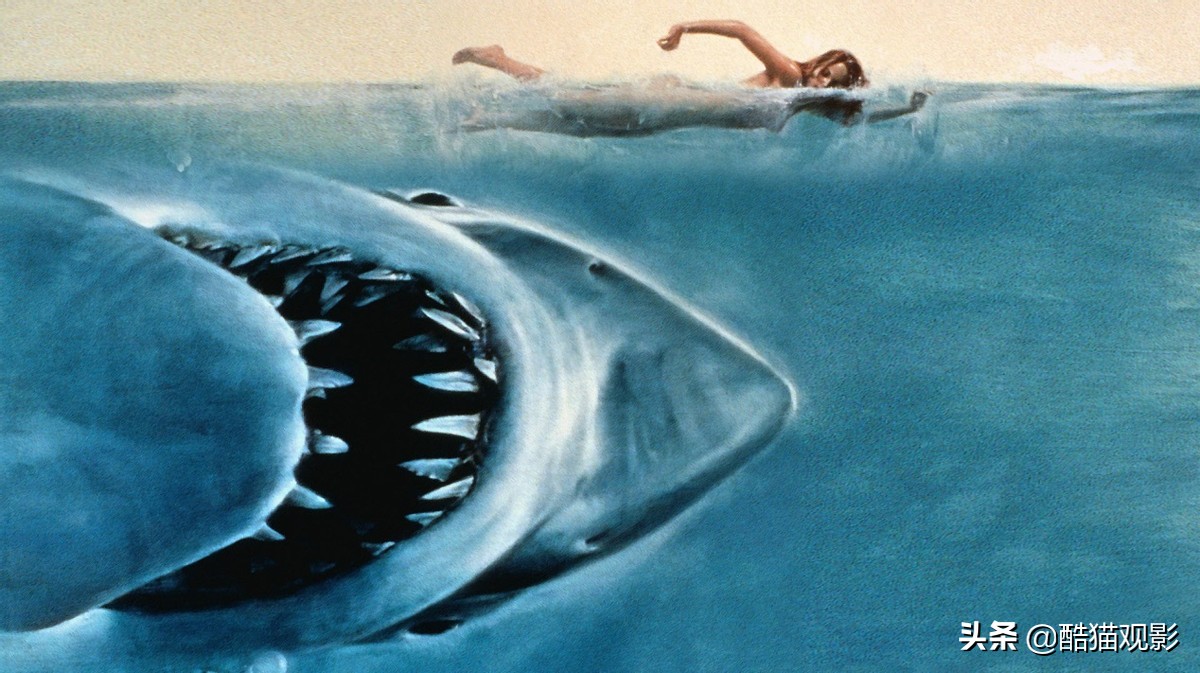 有哪个鲨鱼电影好看吗
