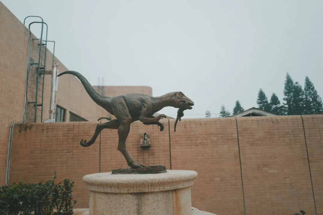 最近超火的盐帮菜之乡让我大开眼界，奇怪的知识又增加了