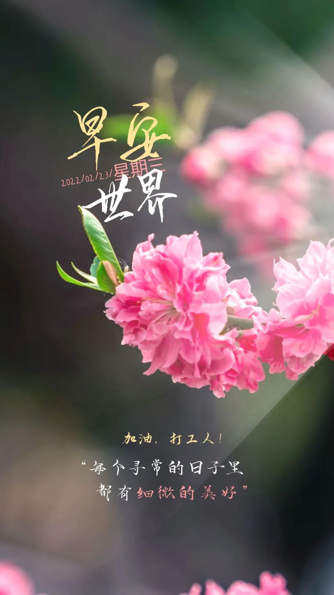 迎接冬天清晨唯美句子