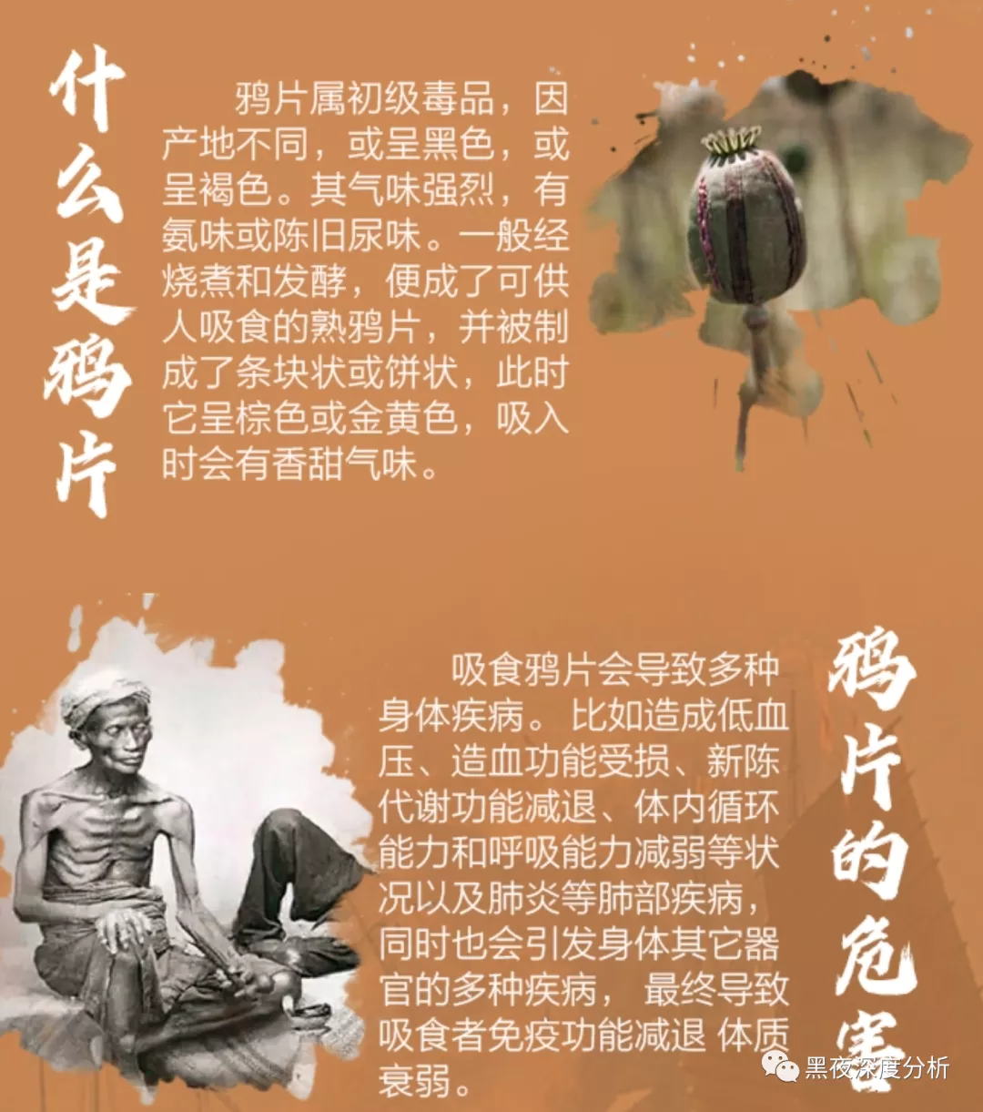 金城医药：自鸦片战争200年以来中国人第一次挑战欧美烟草霸权