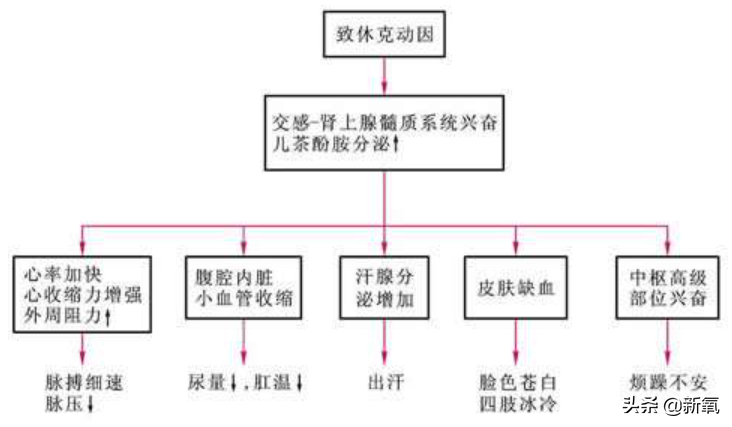 是给的太多了么？她俩之前可是厌恶舞台到顶级巡演都缺席不去…
