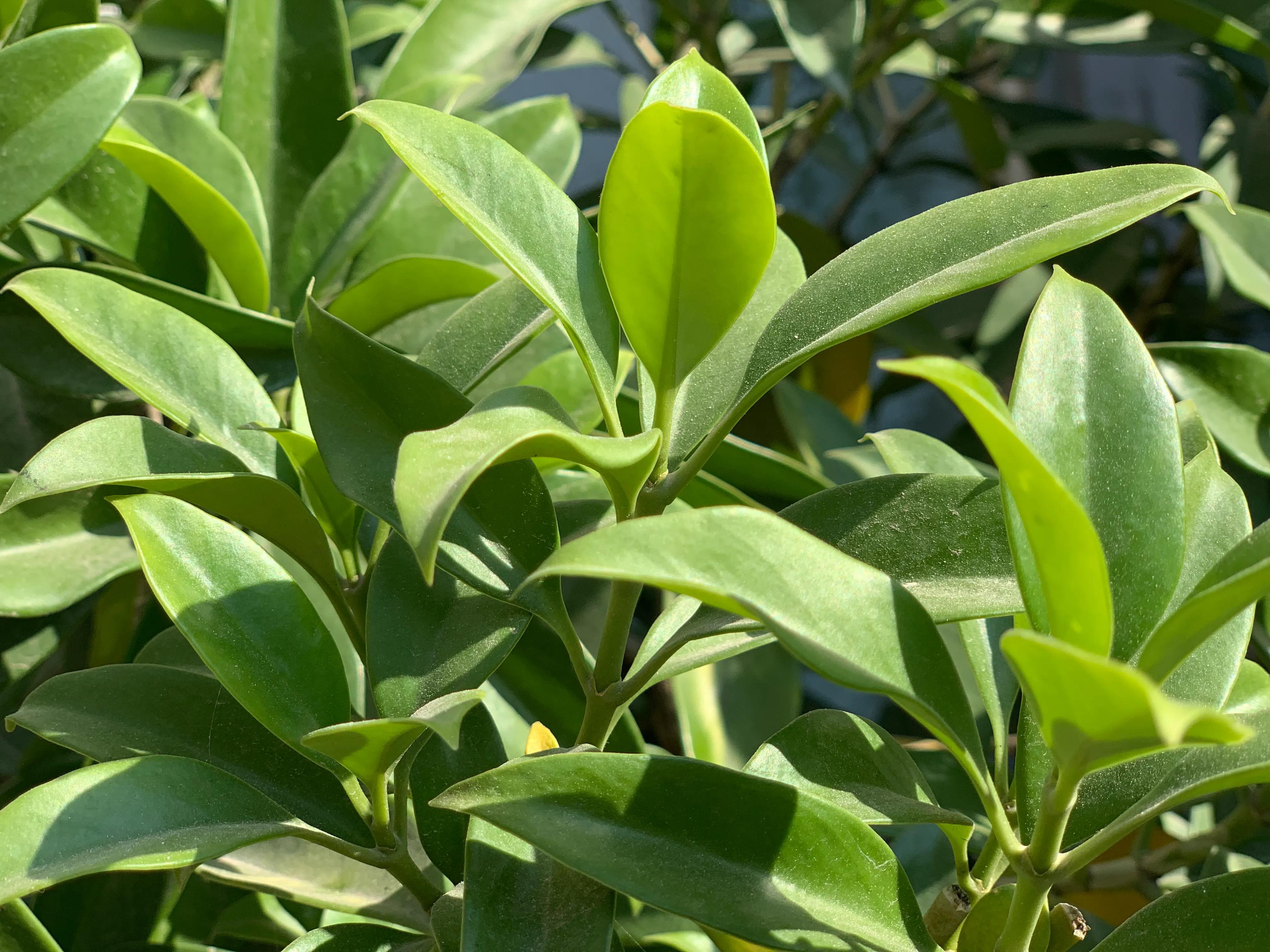 我的2021，走过了所有的自媒体之路，败的一塌糊涂