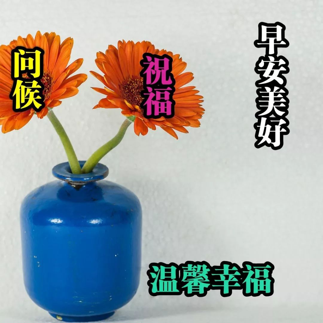 夏日漂亮早上好动态表情图片大全，暖心的问候、轻轻送给你图片