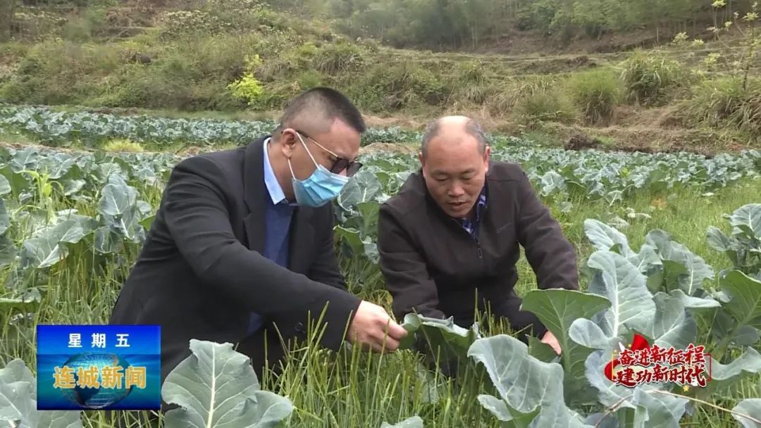「奮進新征程 建功新時代」湯棟華：金融服務助力鄉村振興