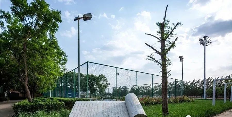 择校指南丨北京新英才国际学校：全时教育，全维育人