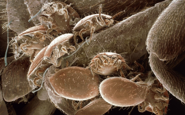 房子装修完，要做好这6件事，都是经验所得，别把新房“毁了”