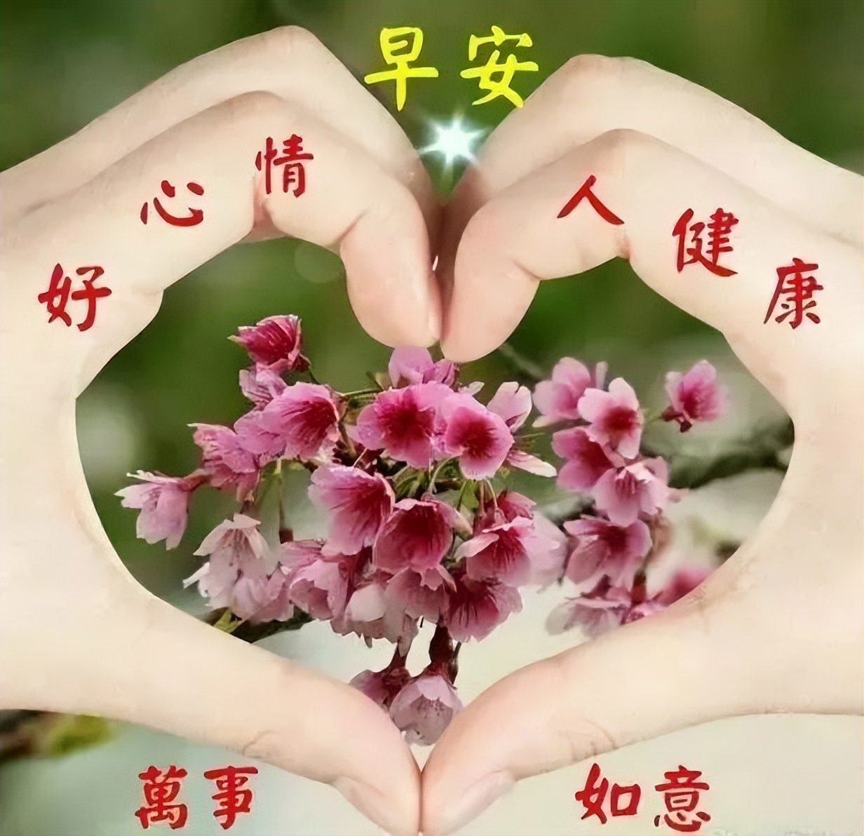 清早问候朋友早上好暖心祝福语句子 愿你事事顺心，快乐相随图片