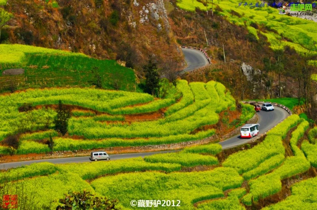 “中国最受欢迎的十大自驾路线”TOP榜，你觉得哪条最当之无愧？