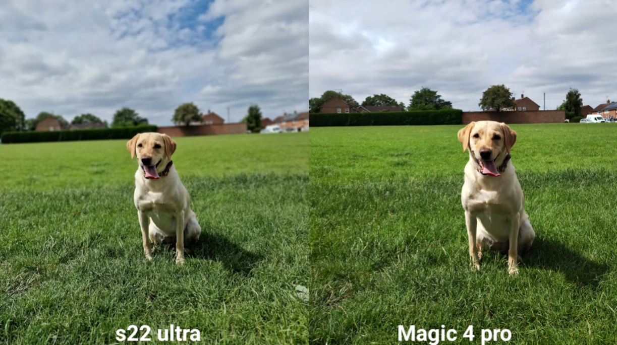 三星S22UItra和荣耀Magic4Pro，谁是影像机皇？实拍对比差距很大
