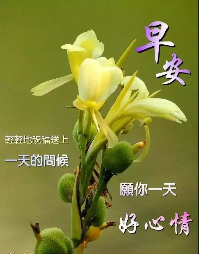 周二朋友圈最美祝福早上好的句子，2022微信群早上好温馨祝福句子图片