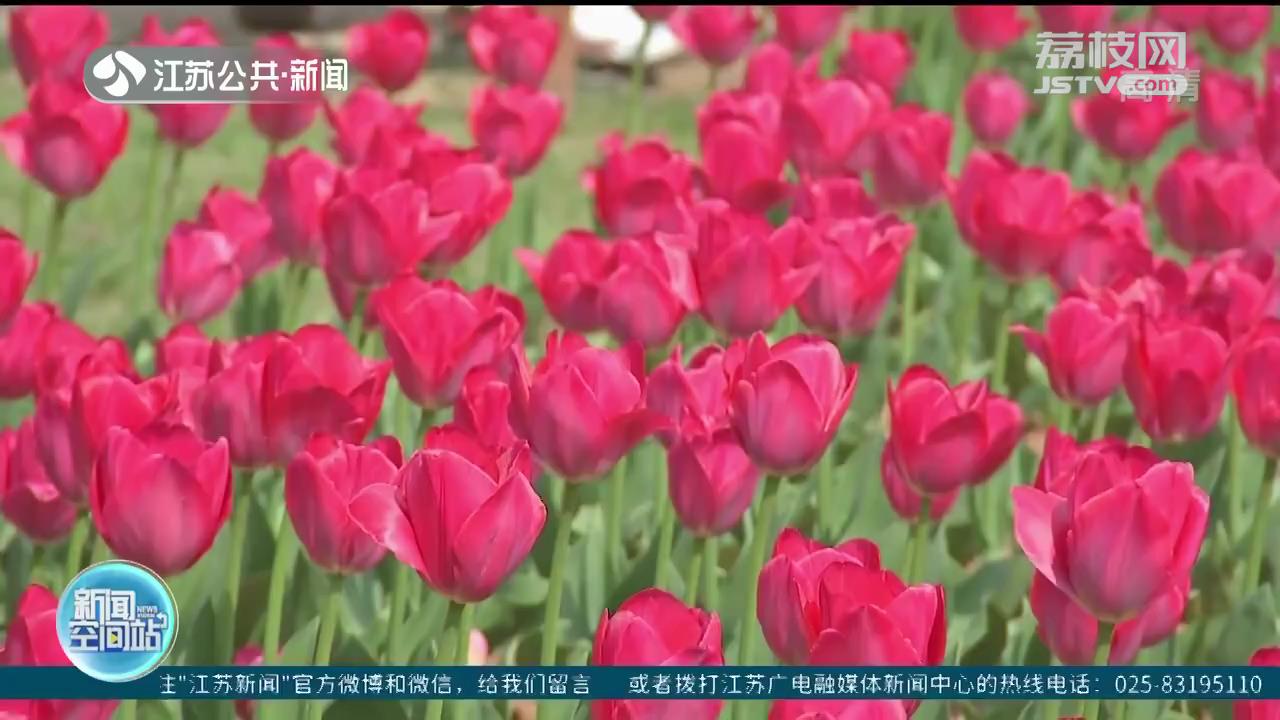 冷空气又来！江苏降水较少 温度又会坐上&ldquo;过山车&rdquo;