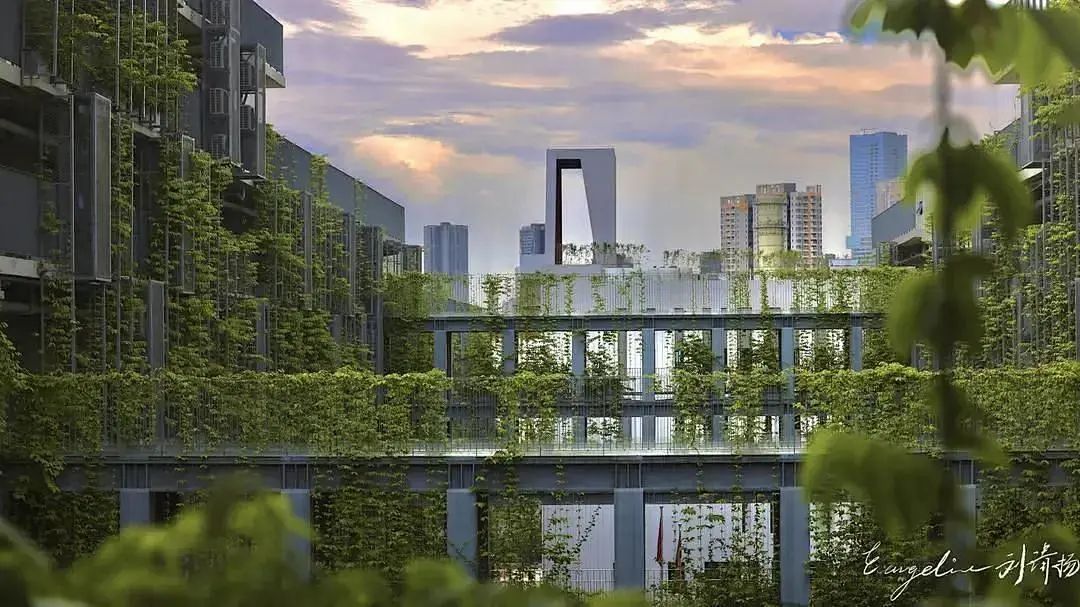 耀中国际学校（2022年牛津放榜）