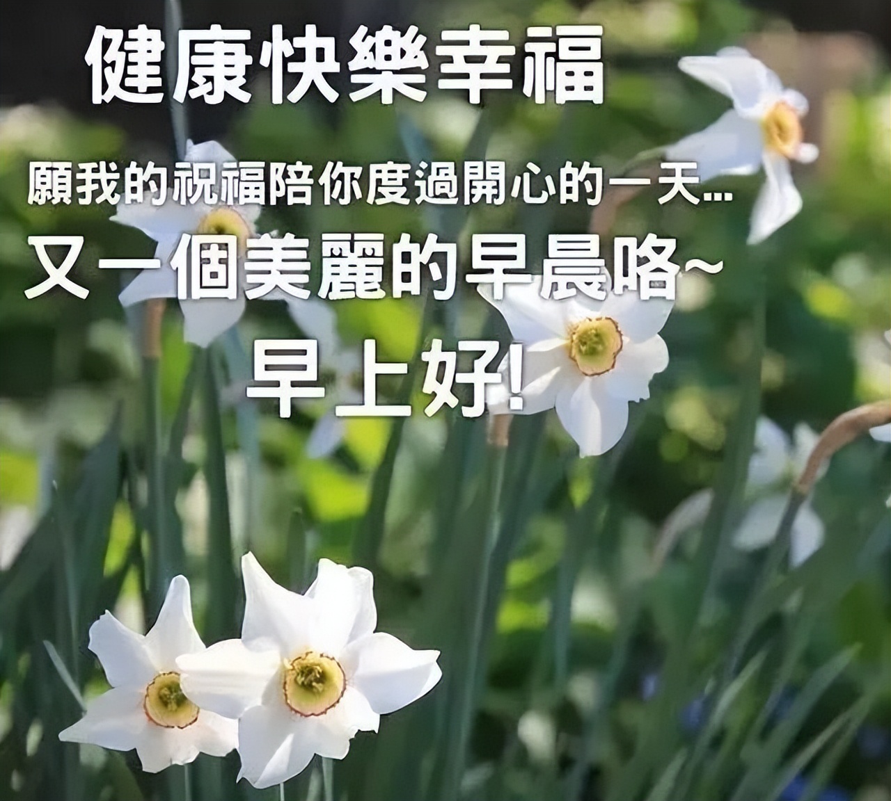 朋友圈正能量早上好问候语句子 一声早安，富贵平安图片