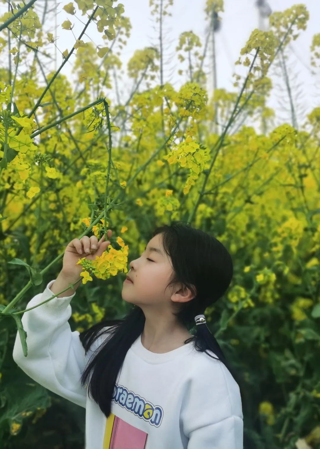 珍爱生命，安全第一｜记四川大学西航港实验小学第17周国旗下讲话
