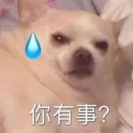 萌宠表情包｜搞笑