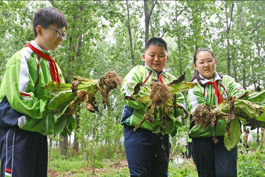 中考科目增加后，中小学生9月又将迎来新课程：老师要教做饭了