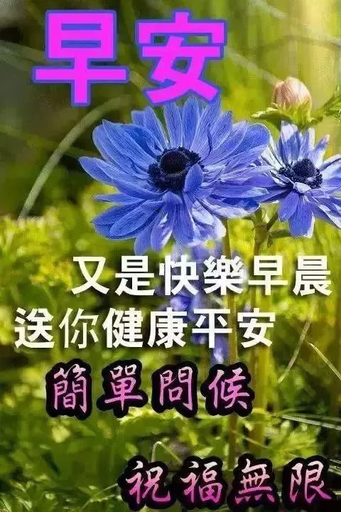 漂亮的早上好问候语动画表情图片 祝你心情好没烦恼 平安健康日日好图片