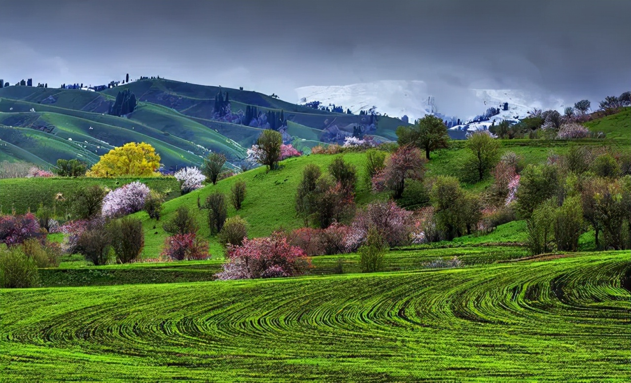绿河谷招聘信息伊犁(厉害了) - 好工作